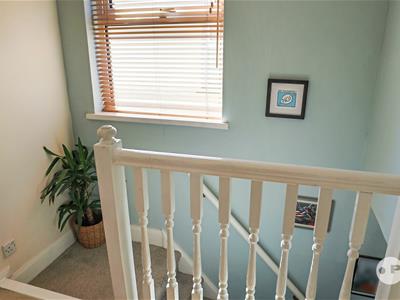 Picture 14